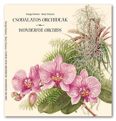 Csodlatos orchidek - Wonderful Orchids